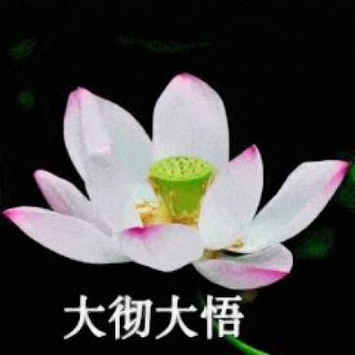 微信莲花头像