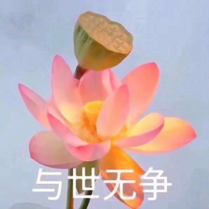 莲花头像带字图片