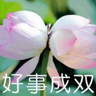 微信莲花头像