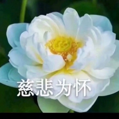 莲花带字图片微信头像图片