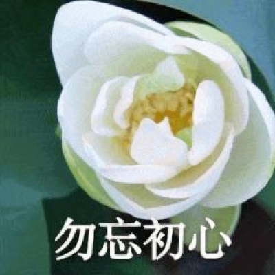 微信莲花头像