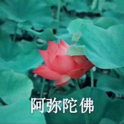 莲花带字图片微信头像图片