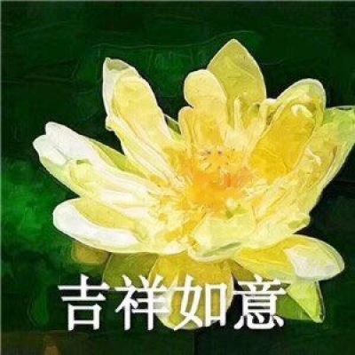 微信莲花头像