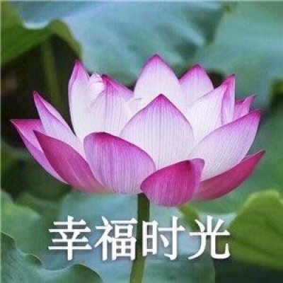 微信莲花头像