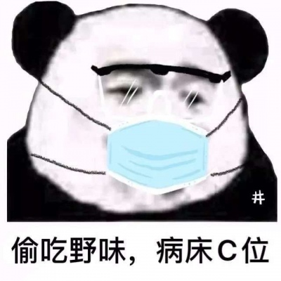 口罩熊猫头表情包头像