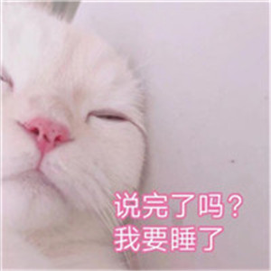 可爱的猫咪头像,萌萌的有点搞笑的小猫