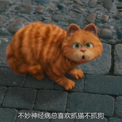 加菲猫可爱头像 超萌可爱的加菲猫高清头像精选