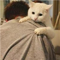 抱猫的男生头像，猫喜欢靠近有灵气的人