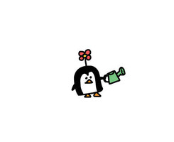 小企鹅卡通图片头像 可爱呆萌的小企鹅小头像图片