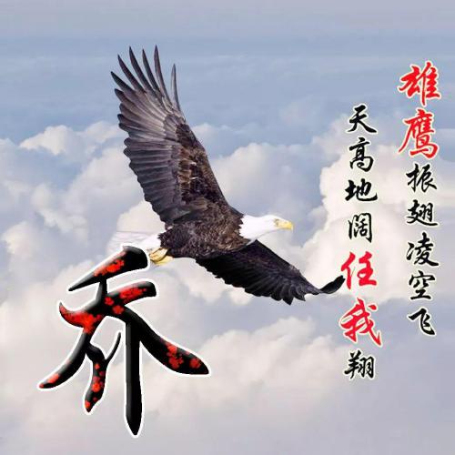 雄鹰展翅姓氏头像，雄鹰振翅凌空飞，探究中国姓氏背后的文化底蕴