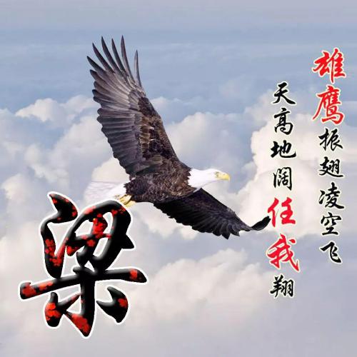 雄鹰展翅姓氏头像，雄鹰振翅凌空飞，探究中国姓氏背后的文化底蕴