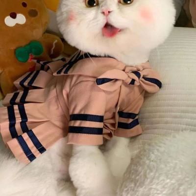 个性时尚萌宠猫咪女生头像最新