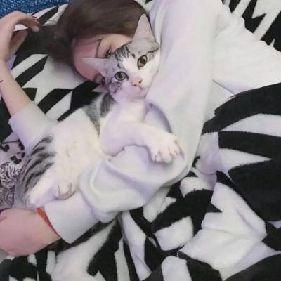 抱猫的女生头像图片