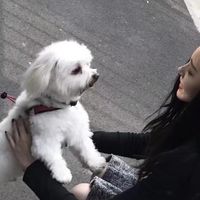 对待每一份感情付出真心 幸福情侣头像一对