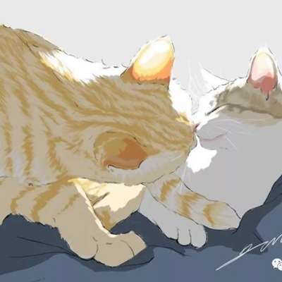 猫咪插画手绘小清新头像