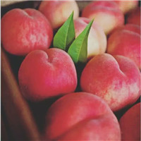 桃子头像图片大全 唯美清新的水果桃子头像图片