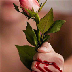 带刺的玫瑰图片流血头像 手握抓玫瑰刺手流血图片头像