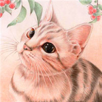 手绘小猫头像,小猫手绘图片,超有质感的技法