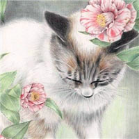 手绘小猫头像,小猫手绘图片,超有质感的技法