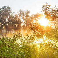 微信头像日出风景图片,仙境般的美湖面早晨日出美景