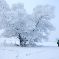 冬天是最美丽的,吉林雾凇岛风景QQ头像图片大全