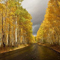 唯美路的图片,秋天的路幸福的路是最美的