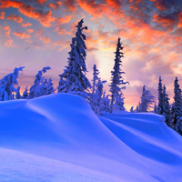 雪景头像图片大全 高清唯美的雪景头像照片