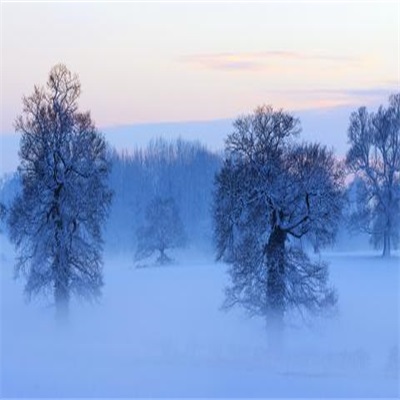微信头像风景冬天唯美
