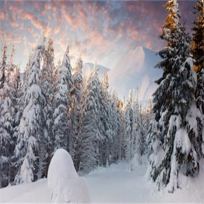 雪景微信头像图片大全唯美