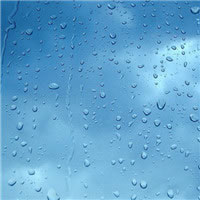 微信头像雨水图片唯美
