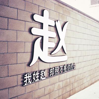 漂亮赵字头像，2020姓氏赵微信头像图片