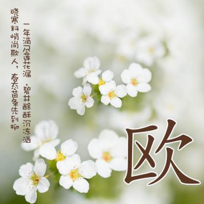 清新姓氏头像，唯美好看花朵为背景的