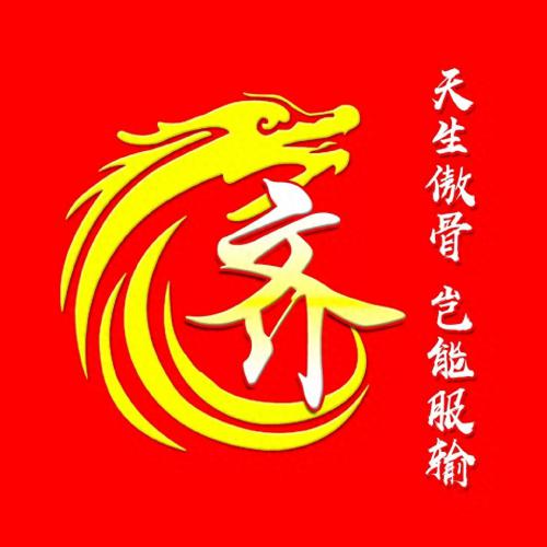 最霸气姓氏头像，龙主题，天生傲骨，岂能服输