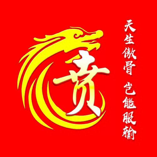 最霸气姓氏头像，龙主题，天生傲骨，岂能服输