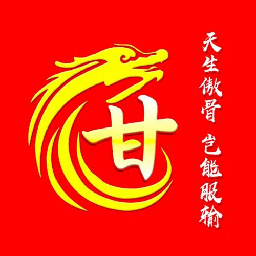 最霸气姓氏头像，龙主题，天生傲骨，岂能服输