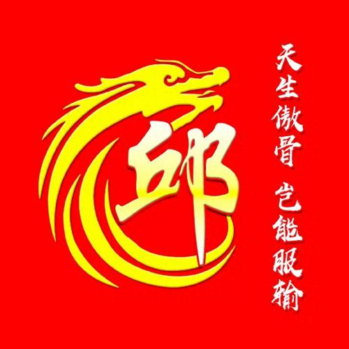 最霸气姓氏头像，龙主题，天生傲骨，岂能服输