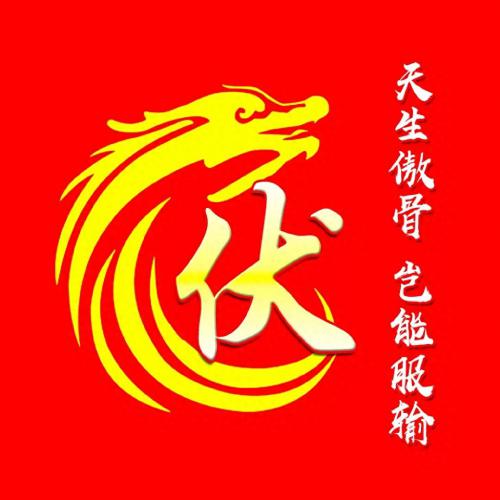 最霸气姓氏头像，龙主题，天生傲骨，岂能服输