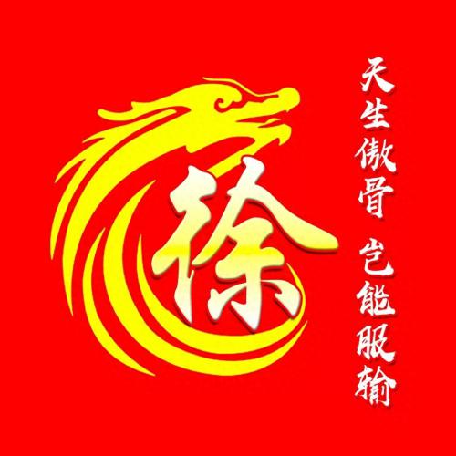 最霸气姓氏头像，龙主题，天生傲骨，岂能服输