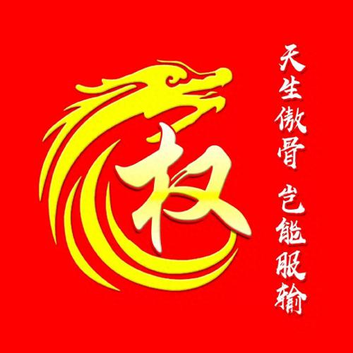 最霸气姓氏头像，龙主题，天生傲骨，岂能服输