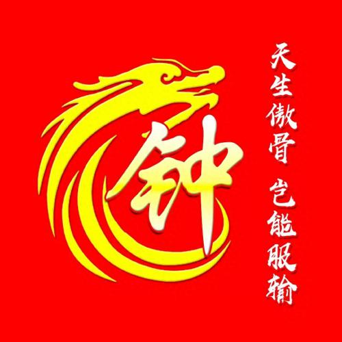 最霸气姓氏头像，龙主题，天生傲骨，岂能服输