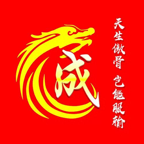 最霸气姓氏头像，龙主题，天生傲骨，岂能服输