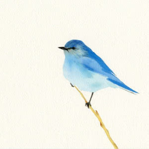 一只蓝色的小鸟头像图片