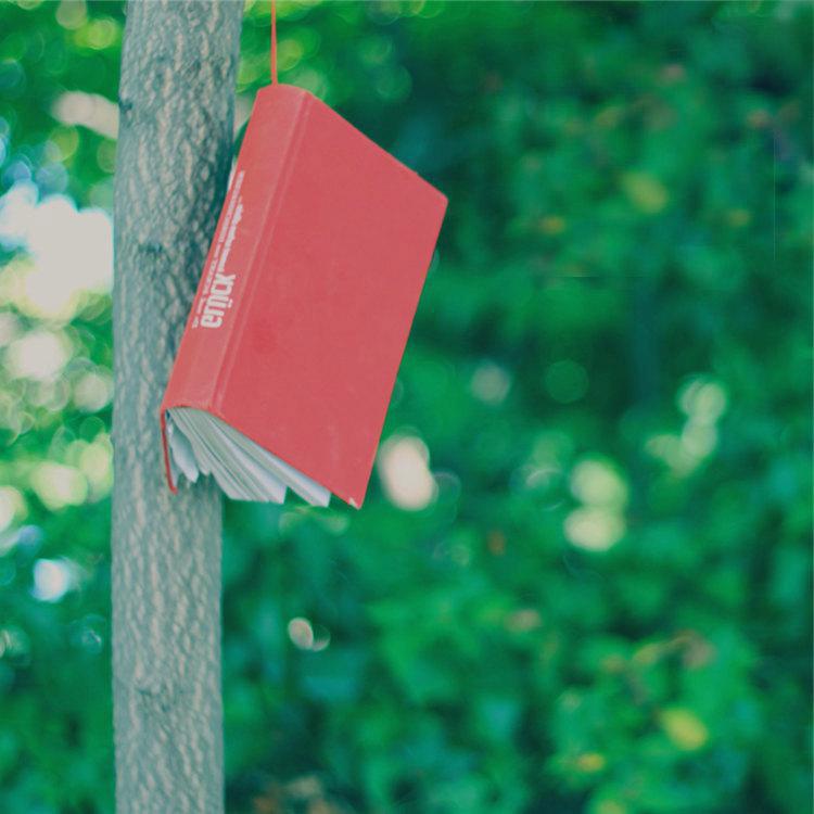 清新挂在树上的一本书头像图片