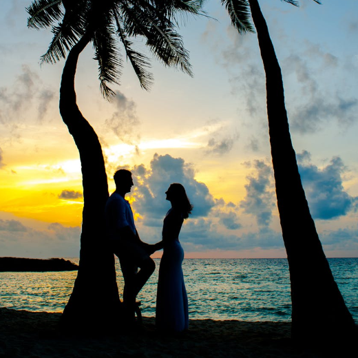 夕阳椰子树下情侣头像图片