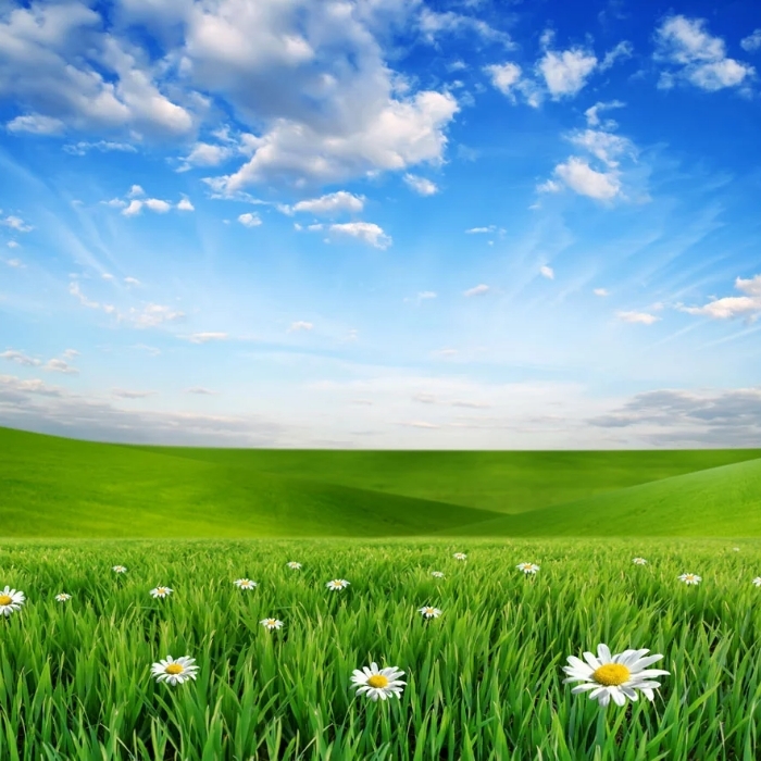 蓝天白云草原头像图片 美丽的草原人间的天堂