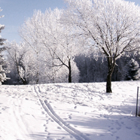 漂亮的雪景,天超来越冷了提前分享感觉一下白雪吧