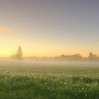 雾中朦胧的风景,冬天的早上唯美图片