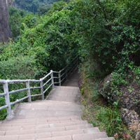 风景优美的林间小路唯美QQ头像图片大全