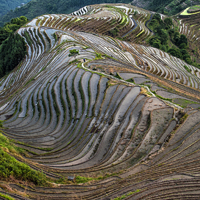 我们有家乡,我们的家园,广西龙脊梯田风景图片