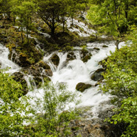 四川九寨沟风景图片,高清自然风景美极了